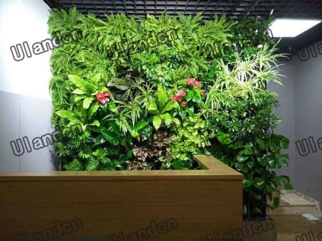 公司前臺(tái)仿真植物墻