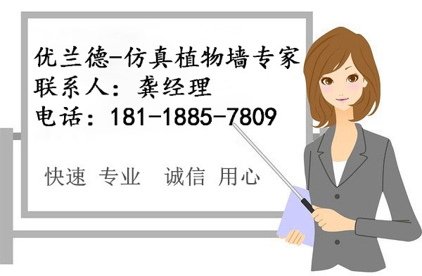 優(yōu)蘭德-仿真植物墻專家