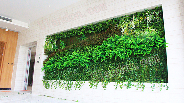 優(yōu)蘭德Uland,仿真植物墻專家!