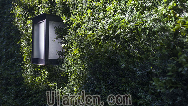 優蘭德Ulandcn,仿真植物墻專家!