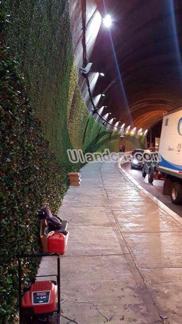 (yu)mUlandֲ