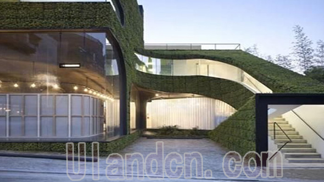 優(yōu)蘭德Uland,仿真植物墻專家!