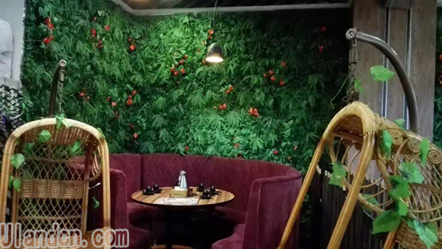 餐飲行業使用的仿真植物墻