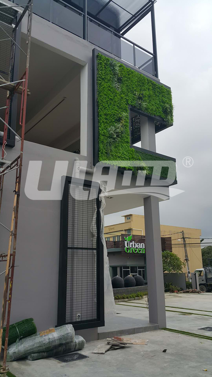 仿真植物墻效果圖