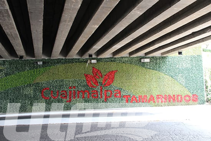 市政工程綠植墻