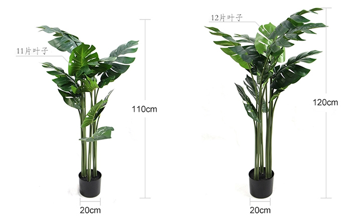 仿真龜背竹尺寸