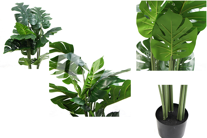 仿真盆栽樹龜背竹細(xì)節(jié)圖