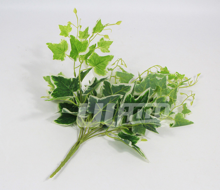 單顆仿真植物白邊地瓜葉