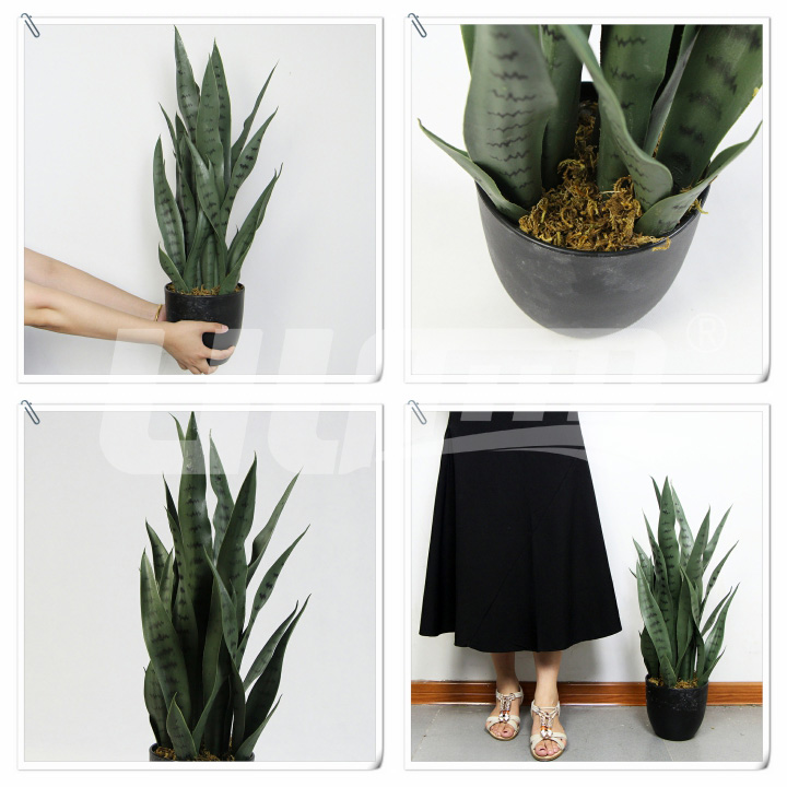 仿真小盆栽虎尾蘭