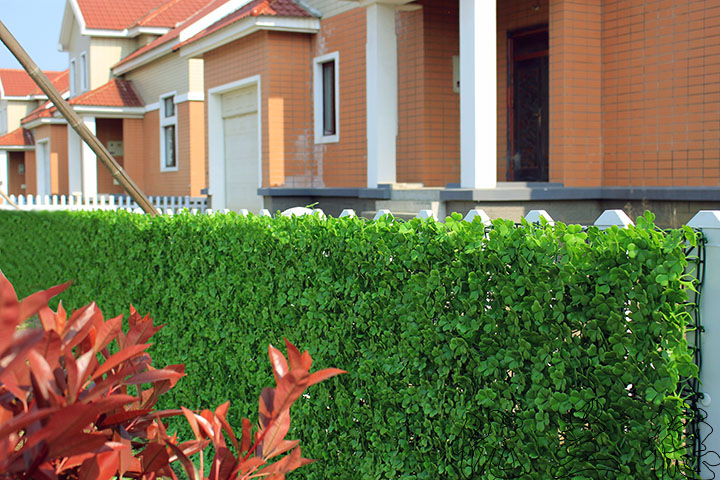 室外庭院植物隔斷墻