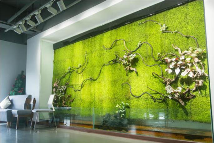 永生苔蘚植物墻效果圖