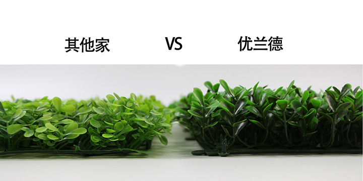 仿真植物草高