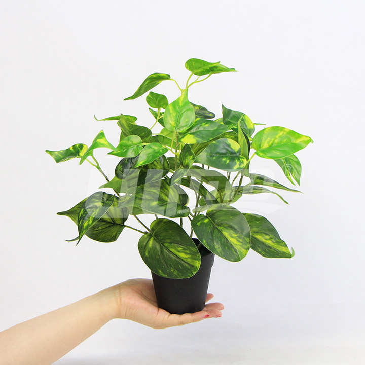 仿真盆栽豬心草