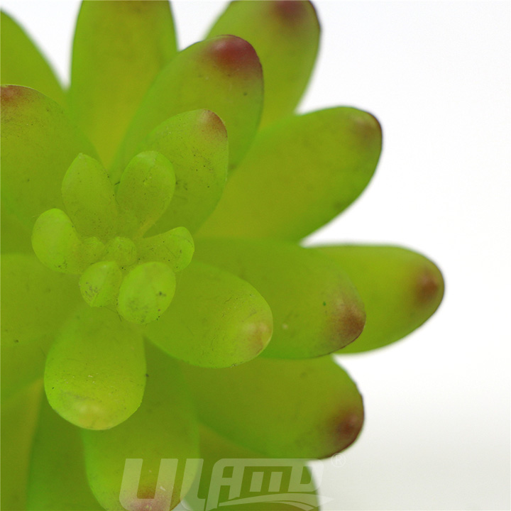 人造多肉局部細節圖