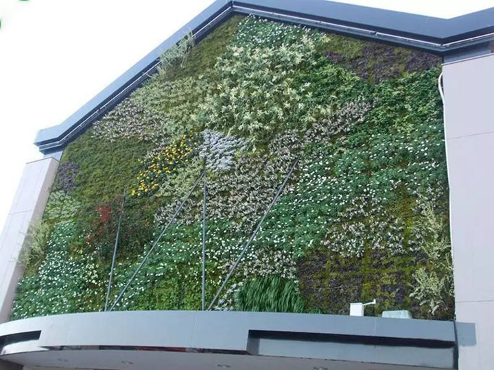 外墻仿真綠色植物墻