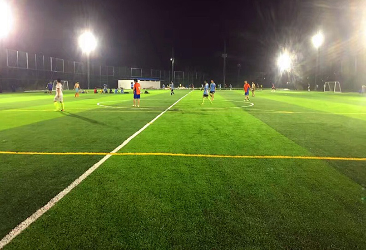仿真草坪足球場