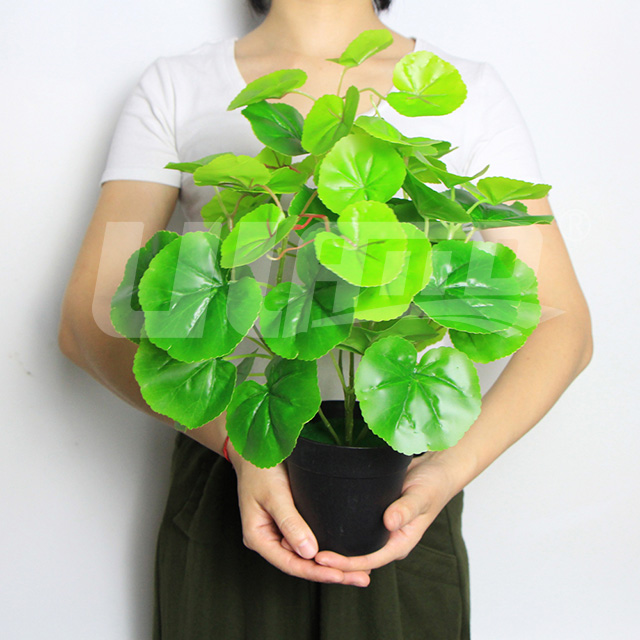 仿真盆栽綠海棠