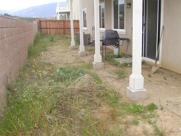 后院鋪裝仿真草坪之前效果圖