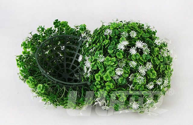 假植物球C30由兩個半球組成