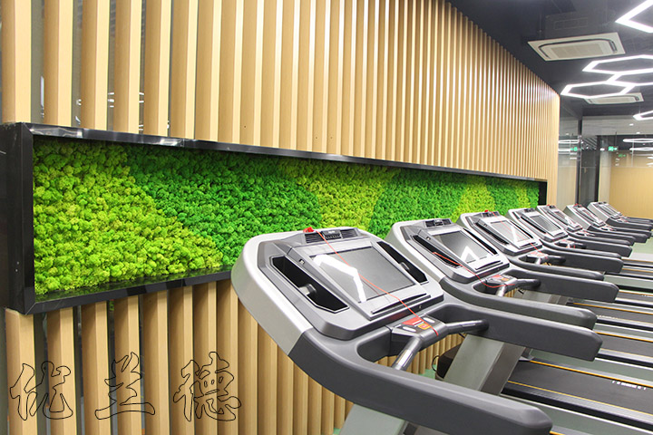 永生苔蘚裝飾的健身房